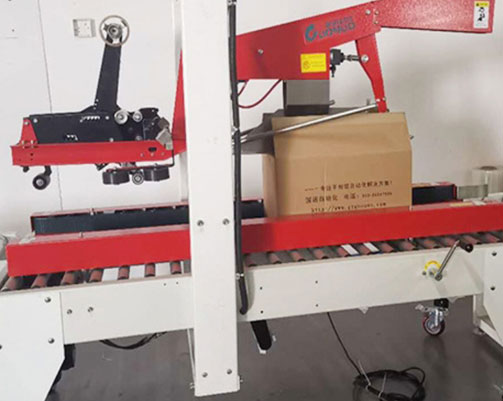 LINED CARTON PACKING MACHINE