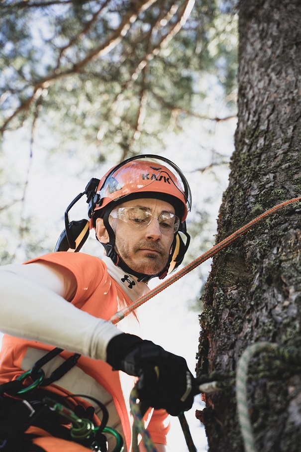 Nelson Tree Service