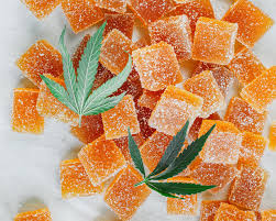 Bioscience CBD Gummies Reviews (Scam Warning 2023) Bio Science Gummies | Does It Really Work?