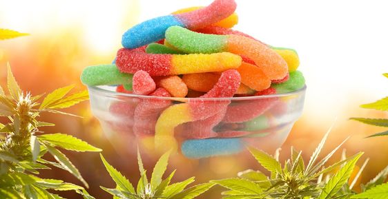 Keoni CBD Gummies Reviews [Hidden Truth] Keoni CBD Gummies | Is It Worth Buying?
