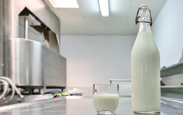 Dairy Management System Software | iTrobes