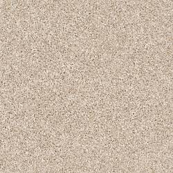 Shaw Carpet Flooring