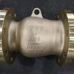 Check Valves