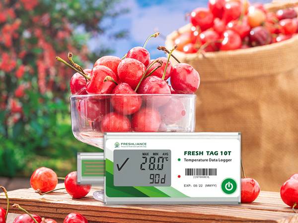 Single use temperature logger for cold chain