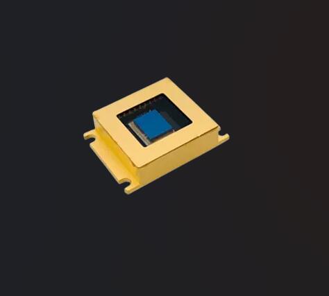 SWIR INGAAS LINEAR IMAGE SENSORS