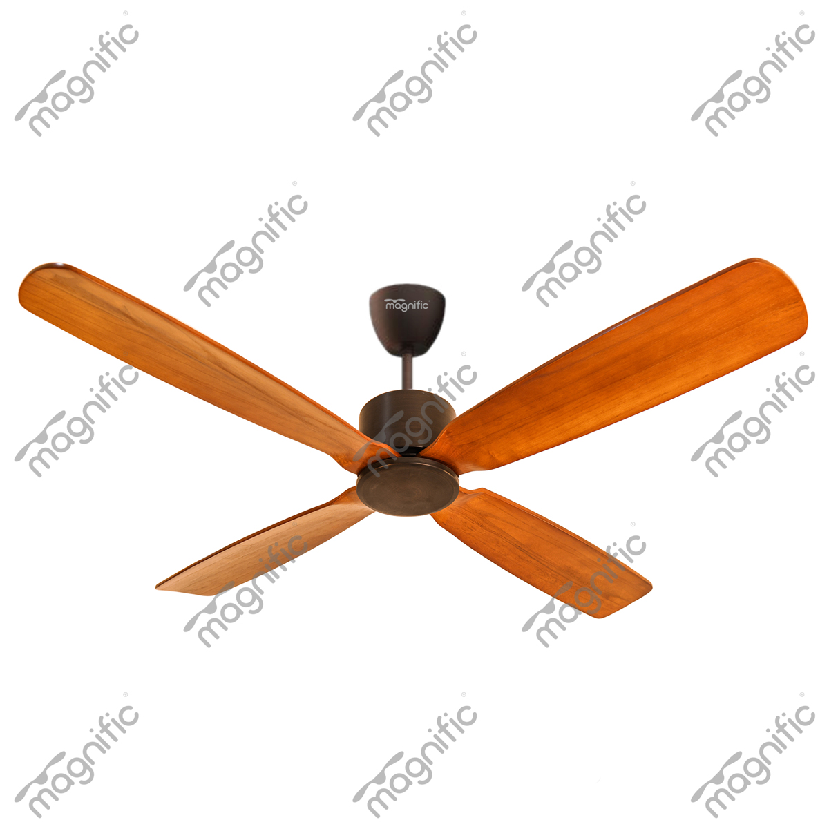 Amaze | Modern Wooden Fans | Magnific Home Appliances
