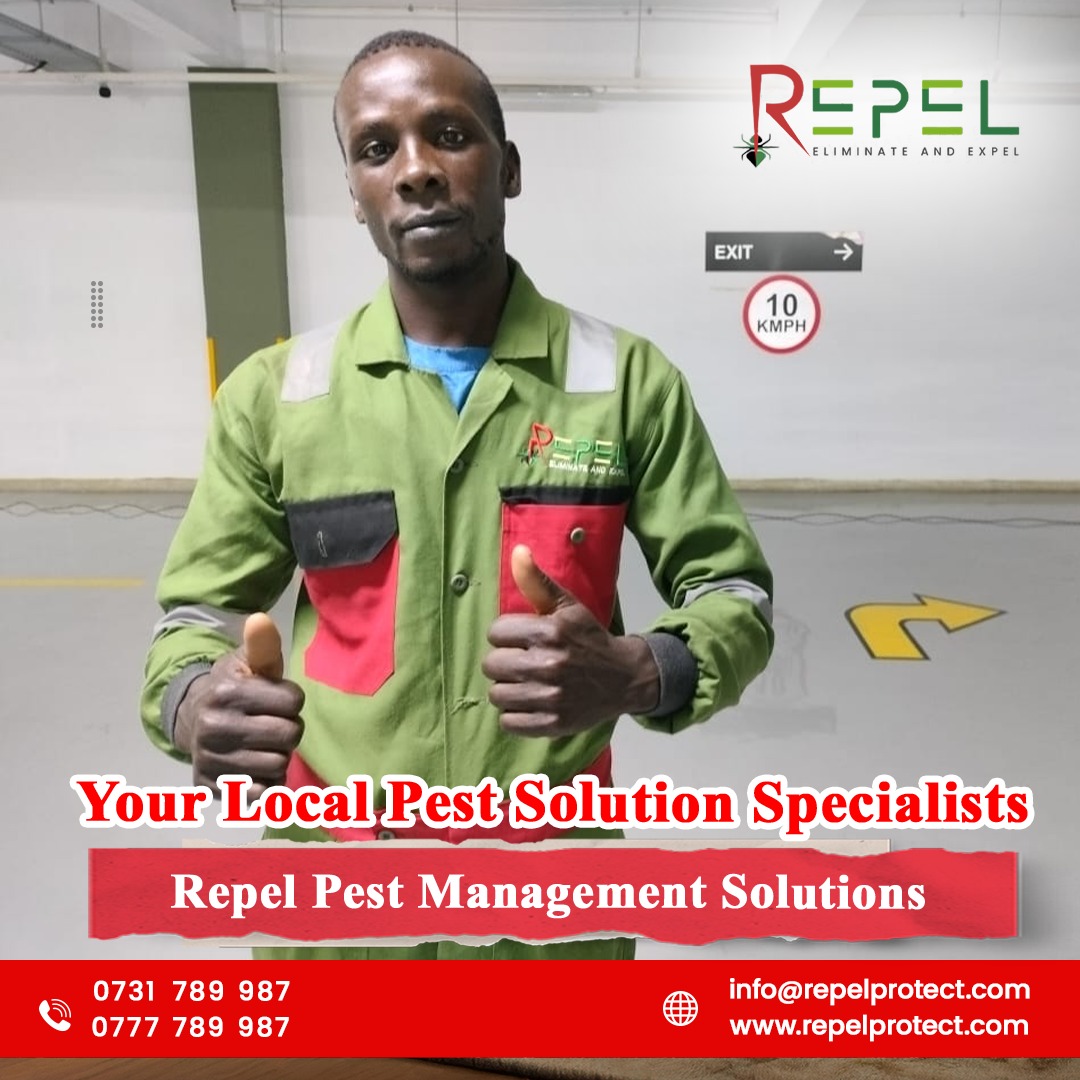 Pest Control in Nairobi