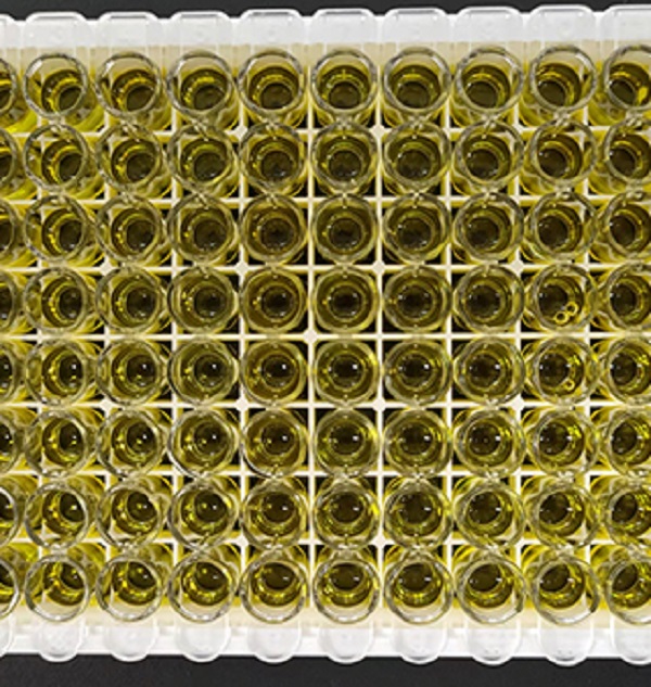 Human Collagen, Type I, Alpha 1 ELISA kit
