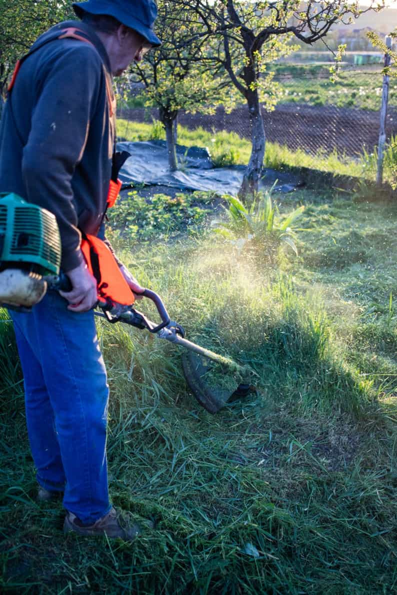 Clearing and Cleaning of Estates and Land