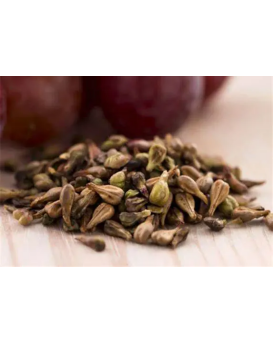 Grape Seed Extract