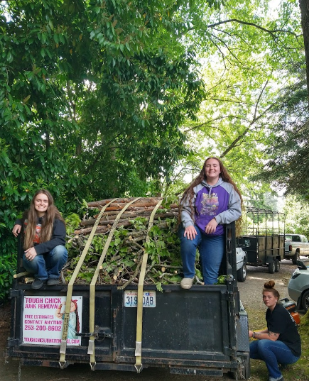 Junk Removal