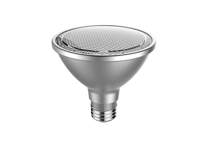 PAR30 Lamp