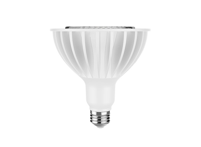 PAR38 Lamp