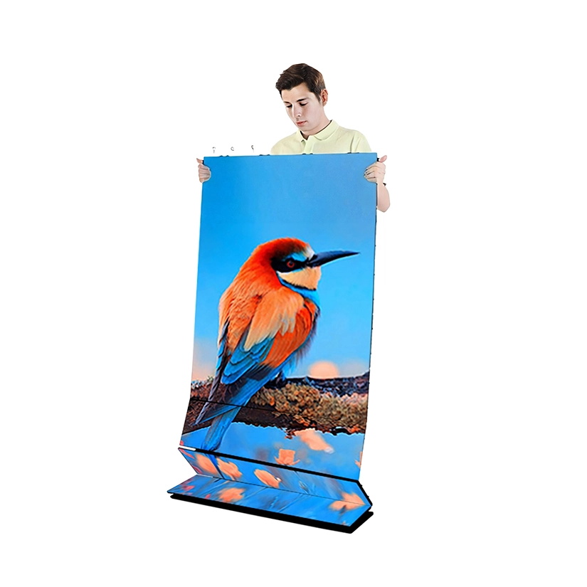 LED Screen Display