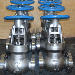 Globe Valves