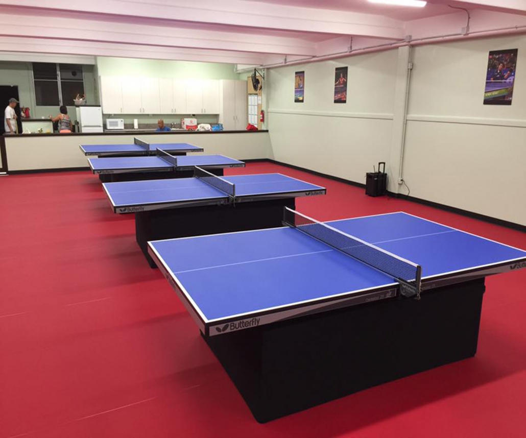 badminton floor mat