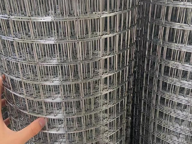 Welded Wire Mesh