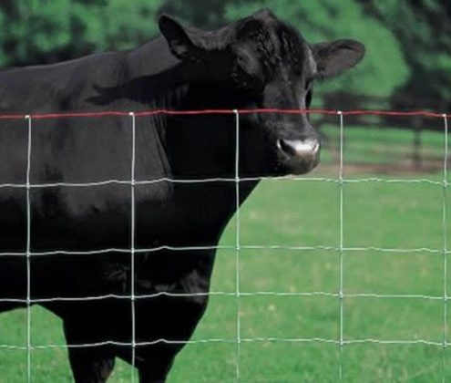 Animal Fence