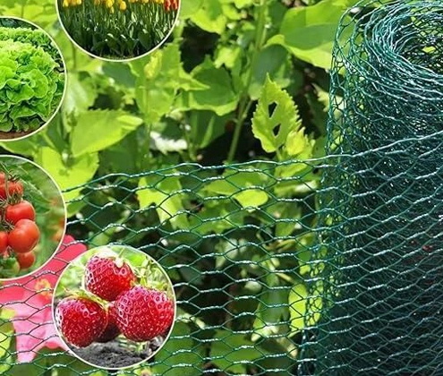 Chain Link Fence