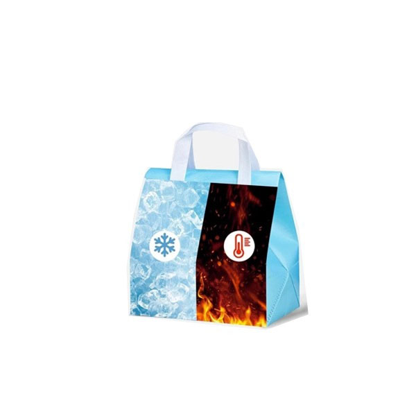 Non Woven Shopping Bags