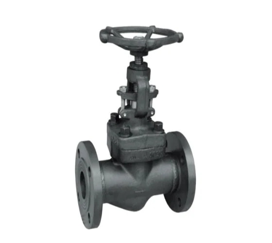 Globe Valve