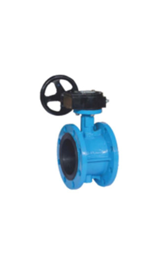 Butterfly Valve