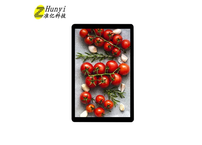 Z101029-ZC2 10.1 Inch TFT Touch Display 800*1280 500CD/M2 GT9271 Controller