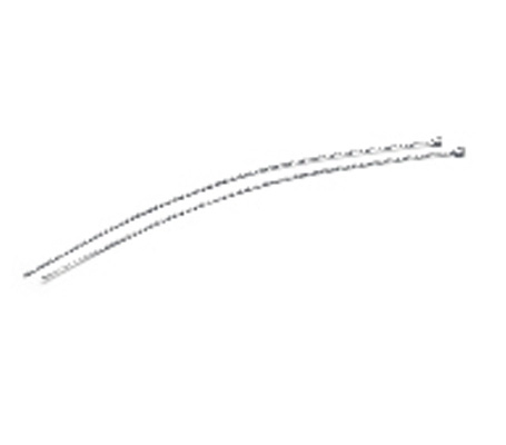 EAS Lanyard