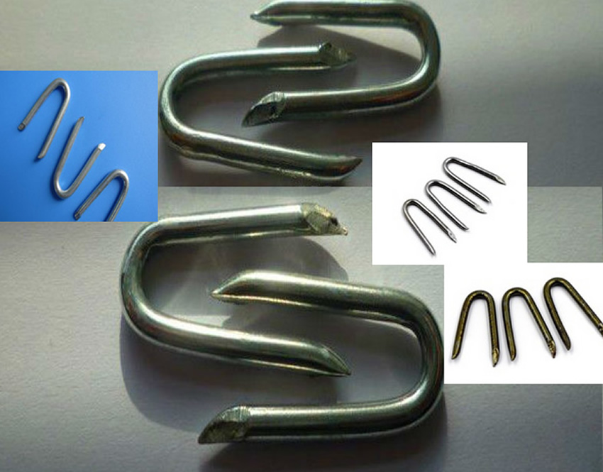 Galvanized Steel U Nails Fence Staples for Attaching Mesh Fence to Timber Fence Posts 
