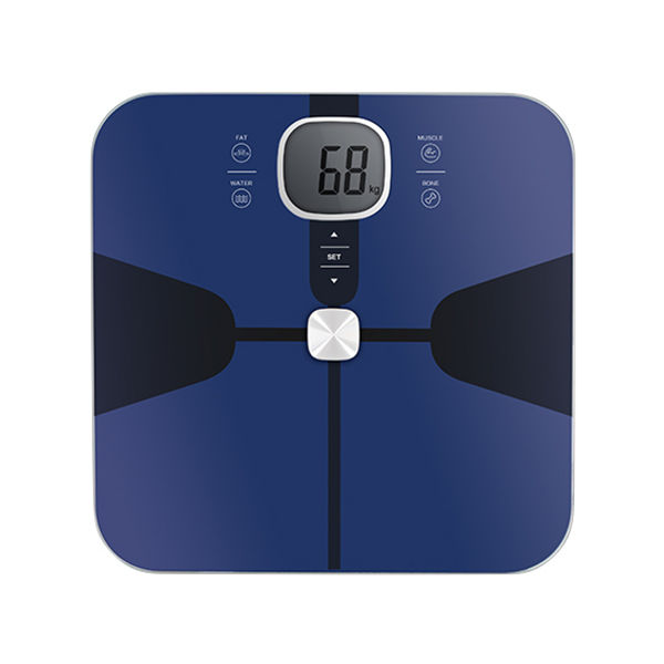 Electronic Scale