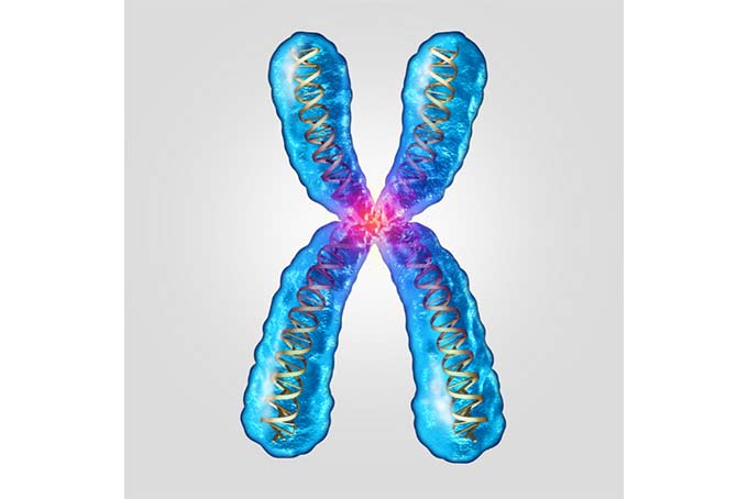 CMA Detection CapitalBio