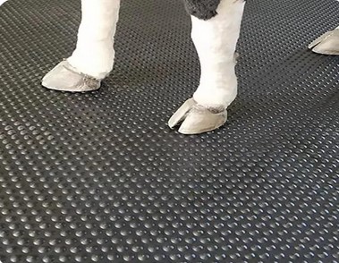 Cow Mattresses & Bedding