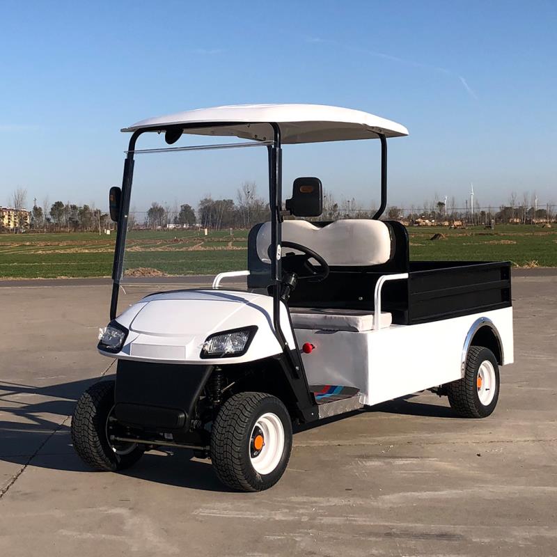 2 Seater Utility Golf Cart with Carriage