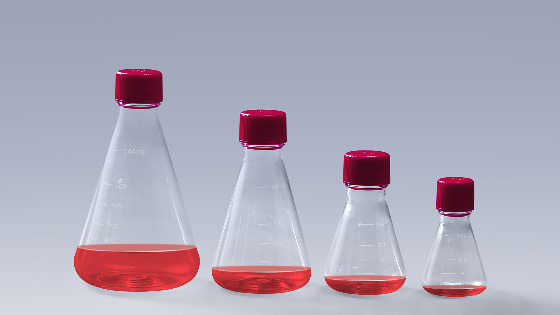 Erlenmeyer Shake Flask