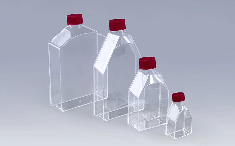 Cell Culture Flasks