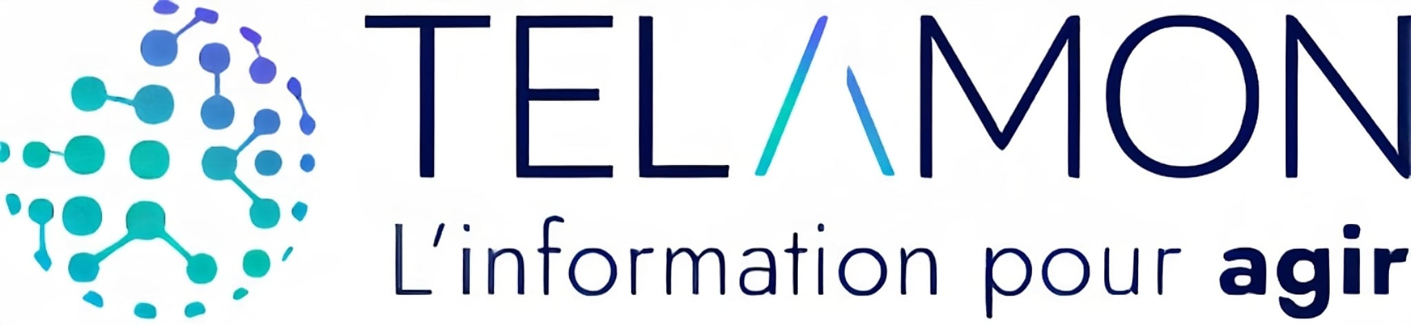 TELAMON - Publisher of data management software and business applications in Lyon, France.