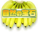 オーガニックバナナ【自然の宝石】