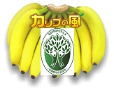 フェアトレードバナナ【カリブの風®】