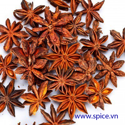 Star Anise
