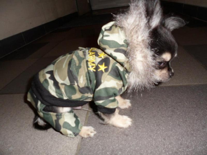 Army