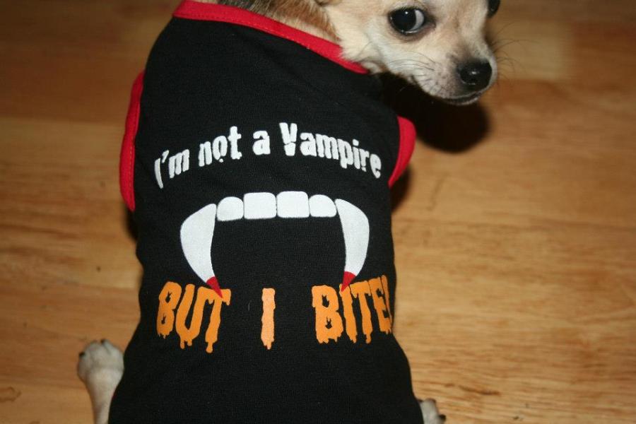 Pet apparel