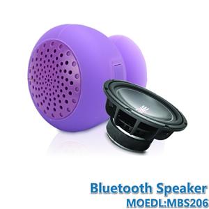 Speaker
