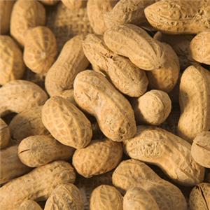 Mani / groundnuts