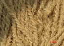 Coir Rope