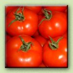 Tomato