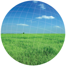 Fertilizers