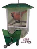 Unique Cardinal Feeder