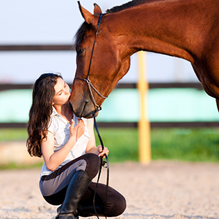 Equine Nutrition
