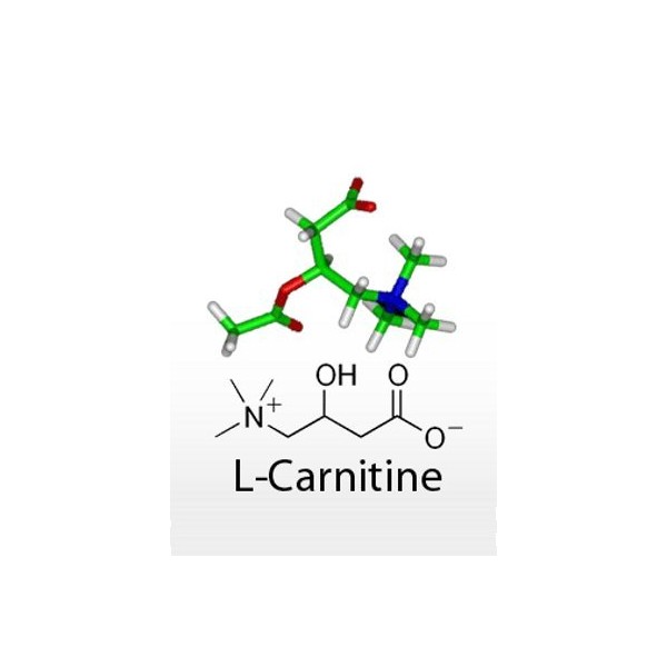 L-Carnitine