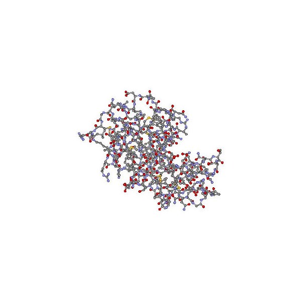 White Egg Enzyme (Acnezyme™)